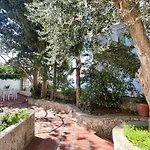 Olive Вилла Капри