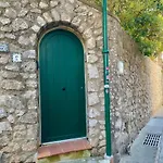 Olive Капри