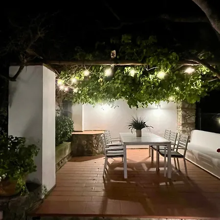Olive Villa