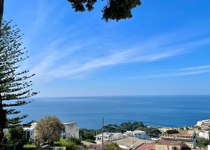 Olive 빌라 카프리