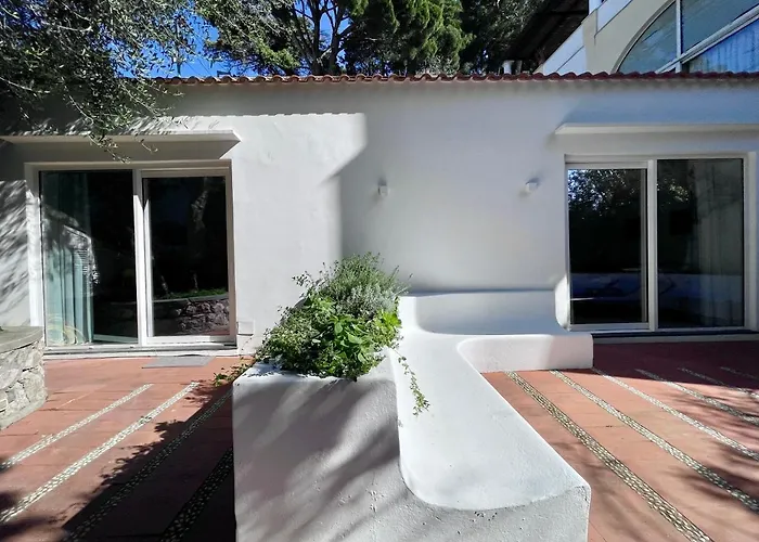 Olive 빌라 카프리